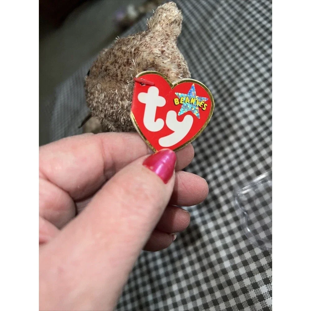 TY Beanie Baby - 2002 SIGNATURE BEAR - Retired (RARE w TAG ERROR)